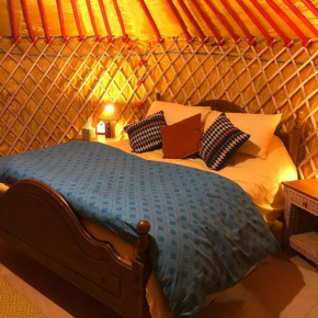 McClure Yurt at Carrigeen Glamping